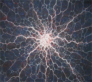 Neural Spin - Bild vergrößert anzeigen